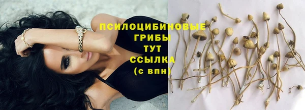 стаф Лихославль